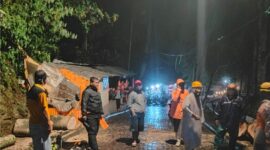Pembersihan Material Pohon Tumbang Di Area Wisata  Sarangan.