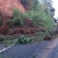 Material Longsor Tutup Akses Jalan Tembus Magetan - Karanganyar. ( Jatimnesia/Ist).