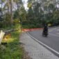 Tikungan Maut Depan LGF Jalan Tembus Magetan - Karanganyar. ( Joko Nugroho/Magetan). 