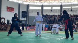 Peserta Turnamen Silat Bupati Cup 2024. 