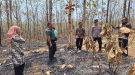 Forkopimca Kandangan Kediri Patroli Cegah Karthutla. ( Iskandar/Kediri).