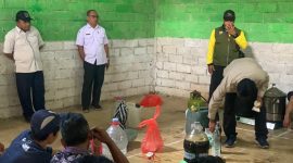 Pelatihan Poktan Tembakau bersama DKPP Pacitan. 