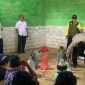 Pelatihan Poktan Tembakau bersama DKPP Pacitan. 
