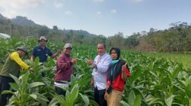 Ketua APTI Pacitan Sartono bersama DKPP Pacitan.