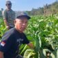 Ketua APTI Pacitan Sartono bersama DKPP Pacitan