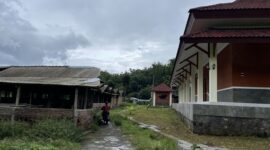 Kandang Ayam Dekat Gedung Literasi Magetan.