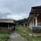 Kandang Ayam Dekat Gedung Literasi Magetan.