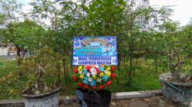 salah satu ucapan pakai bibit buah.