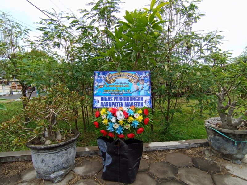 salah satu ucapan pakai bibit buah.