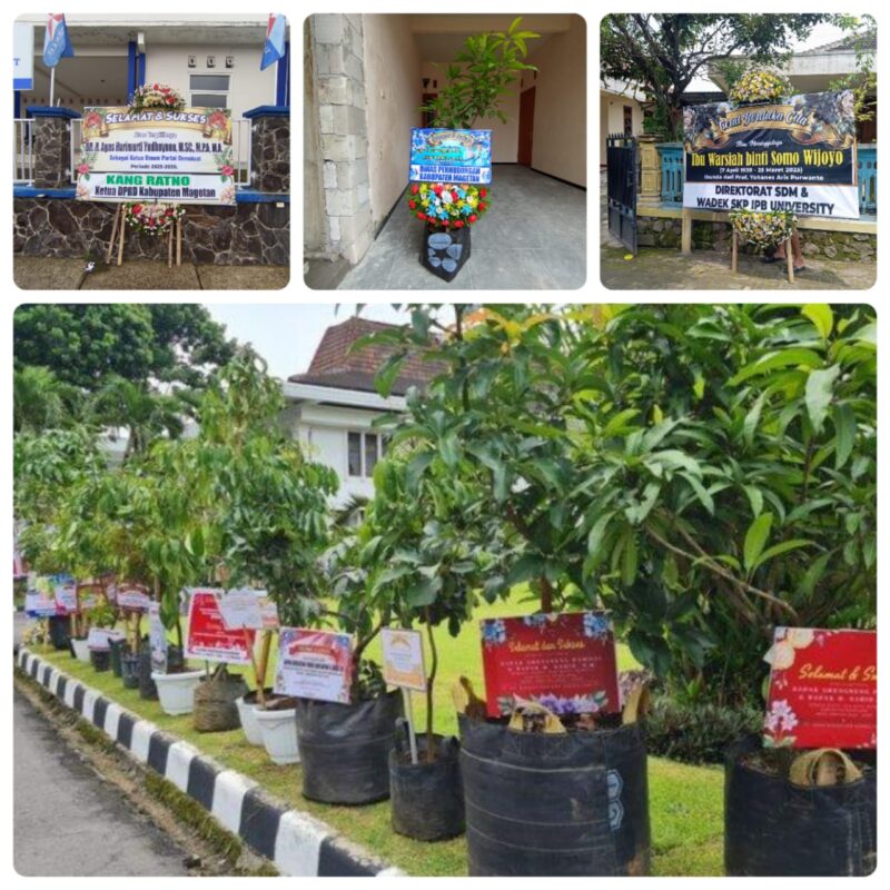 Produk Toko Karangan Bunga Axel Florist.