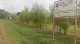Lokasi eco bambo park Magetan. 