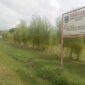 Lokasi eco bambo park Magetan. 