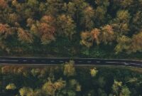 aset: agustian anggar.