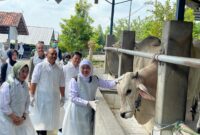 Gubernur Jatim Khofifah Indar Parawansa Pantau Ketersediaan Hewan Kurban Di Ngawi. 