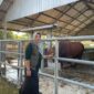 Kepala Disnakkan Magetan drh. Nur Haryani  dan Sapi Kurban Bantuan Presiden Prabowo Subianto. 