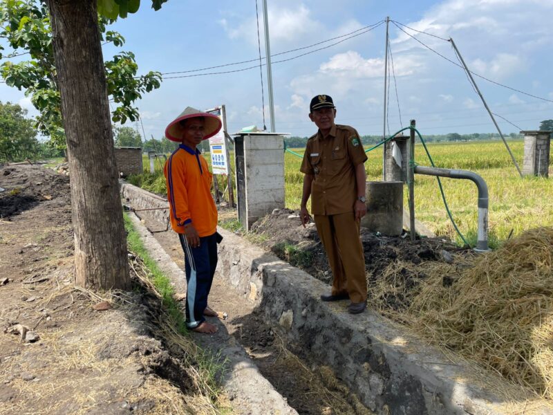 Kades Jajar Eko Suprayitno Melihat Proyek Irigasi Program P3-TGAI. 