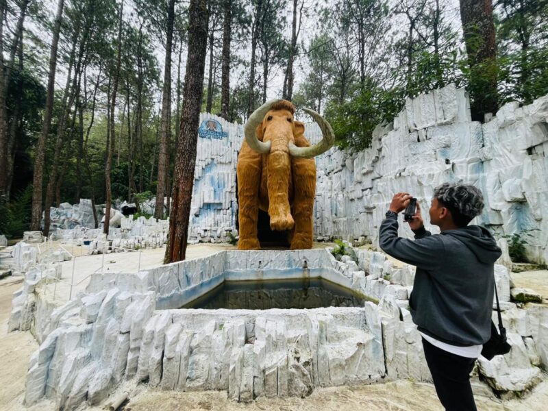 Pengunjung Mojosemi Forest Park Magetan. 