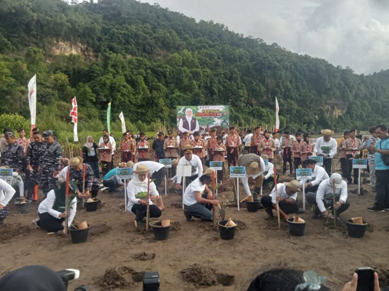 Gubernur Jatim, Khofifah Indar parawansa bersama Kaka Slank dan Bupati Pacitan saat menanam mangrove di Pacitan