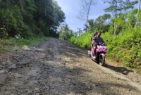 Kondisi Jalan di Kabupaten Pacitan. 