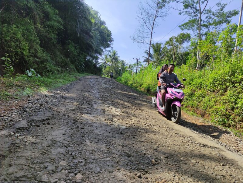 Kondisi Jalan di Kabupaten Pacitan. 