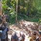 Tim Gabungan Menyidak Lokasi Tambang