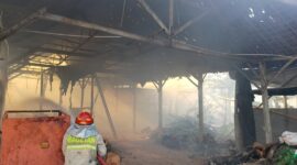 Petugas Sedang Menangani Sampah.