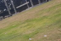 Kondisi rumput Stadion Betoro Katong yang disebut rusak lantaran layu pasca konser Jos Jis Fest.