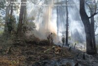 Pemadaman Kebakaran di Kawasan Hutan Perhutani Petak 72 D KPH Sarangan BKPH Lawu Selatan.