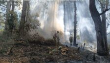 Pemadaman Kebakaran di Kawasan Hutan Perhutani Petak 72 D KPH Sarangan BKPH Lawu Selatan.