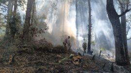 Pemadaman Kebakaran di Kawasan Hutan Perhutani Petak 72 D KPH Sarangan BKPH Lawu Selatan.