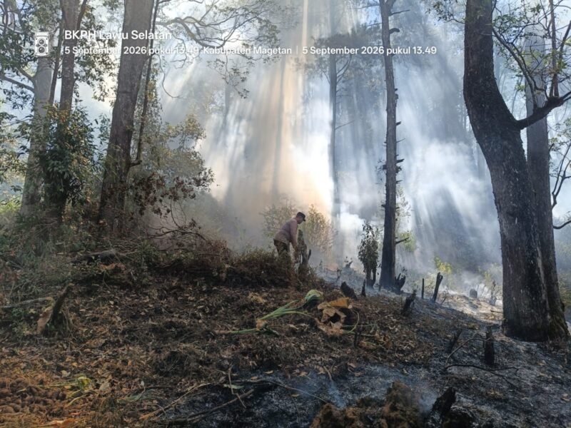 Pemadaman Kebakaran di Kawasan Hutan Perhutani Petak 72 D KPH Sarangan BKPH Lawu Selatan.